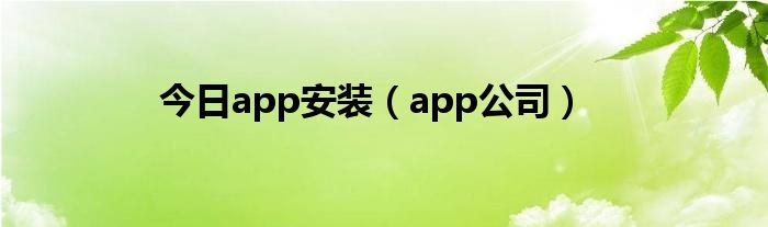 今日app安装（app公司）