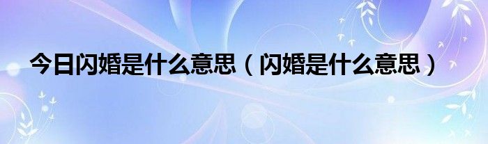 今日闪婚是什么意思（闪婚是什么意思）