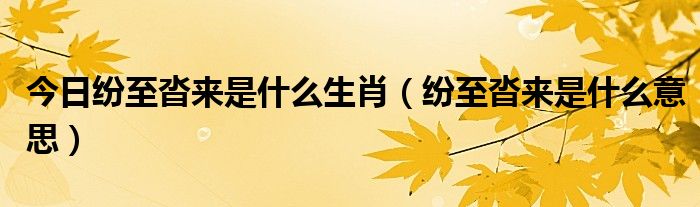 今日纷至沓来是什么生肖（纷至沓来是什么意思）