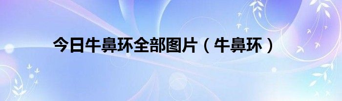 今日牛鼻环全部图片（牛鼻环）