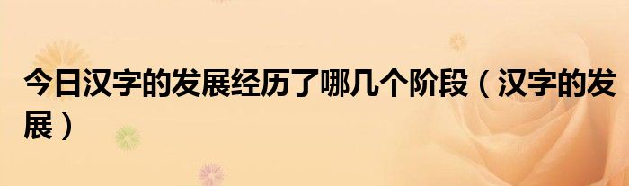 今日汉字的发展经历了哪几个阶段（汉字的发展）