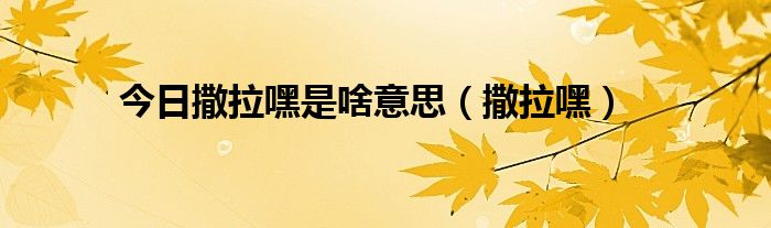 今日撒拉嘿是啥意思（撒拉嘿）