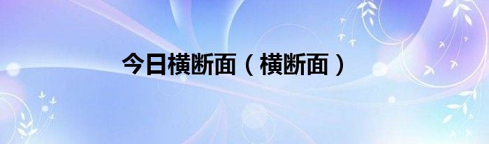 今日横断面（横断面）