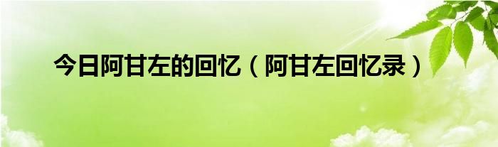 今日阿甘左的回忆（阿甘左回忆录）