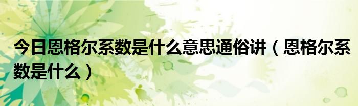 今日恩格尔系数是什么意思通俗讲（恩格尔系数是什么）