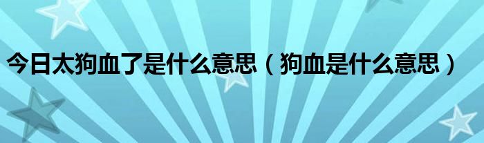 今日太狗血了是什么意思（狗血是什么意思）