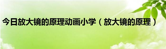 今日放大镜的原理动画小学（放大镜的原理）