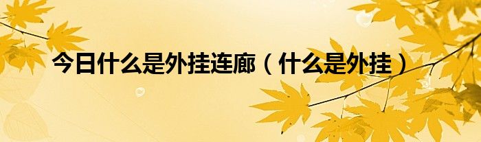 今日什么是外挂连廊（什么是外挂）