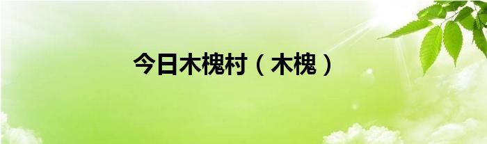 今日木槐村（木槐）