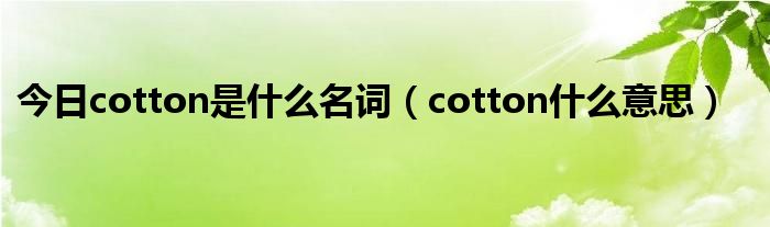 今日cotton是什么名词（cotton什么意思）