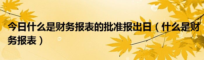 今日什么是财务报表的批准报出日（什么是财务报表）