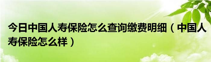 今日中国人寿保险怎么查询缴费明细（中国人寿保险怎么样）