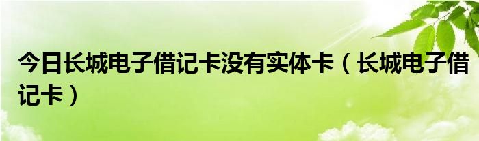 今日长城电子借记卡没有实体卡（长城电子借记卡）