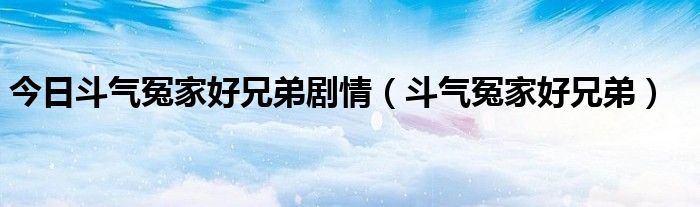 今日斗气冤家好兄弟剧情（斗气冤家好兄弟）