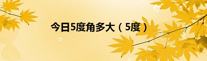 今日5度角多大（5度）