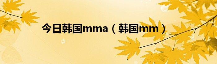 今日韩国mma（韩国mm）