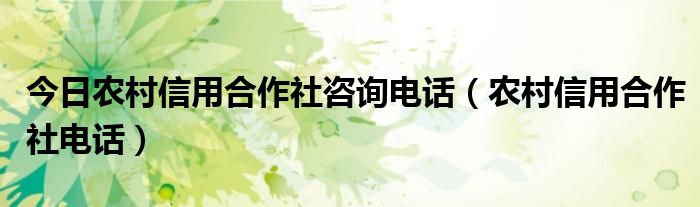 今日农村信用合作社咨询电话（农村信用合作社电话）