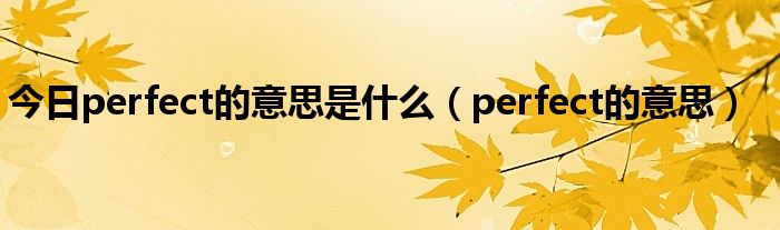 今日perfect的意思是什么（perfect的意思）