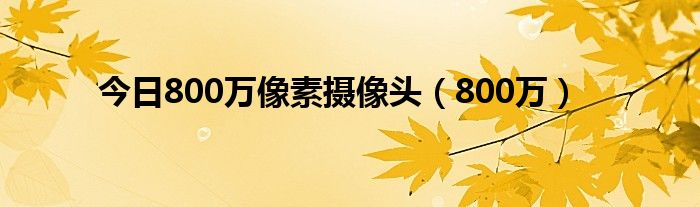 今日800万像素摄像头（800万）