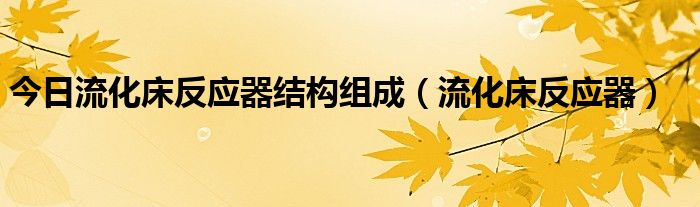 今日流化床反应器结构组成（流化床反应器）