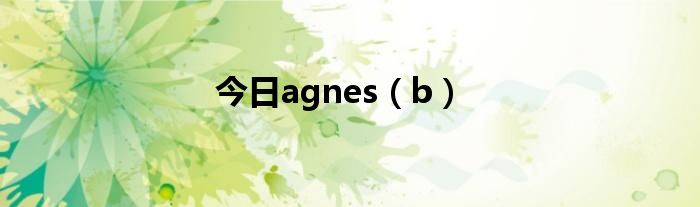 今日agnes（b）