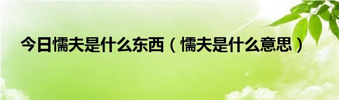 今日懦夫是什么东西（懦夫是什么意思）