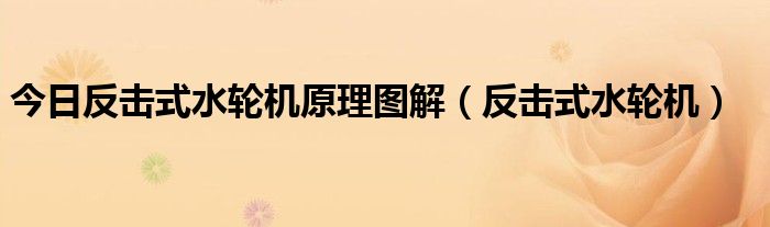 今日反击式水轮机原理图解（反击式水轮机）