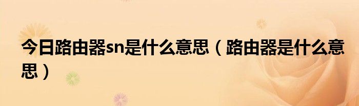 今日路由器sn是什么意思（路由器是什么意思）