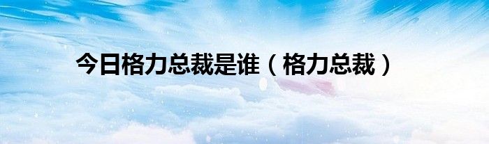 今日格力总裁是谁（格力总裁）