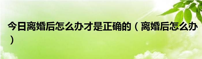 今日离婚后怎么办才是正确的（离婚后怎么办）