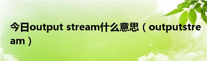 今日output stream什么意思（outputstream）