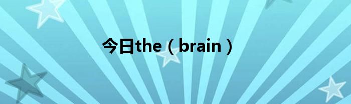 今日the（brain）