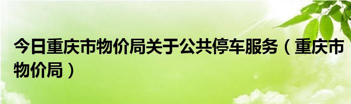 今日重庆市物价局关于公共停车服务（重庆市物价局）