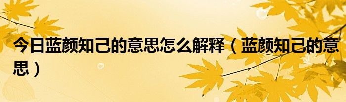 今日蓝颜知己的意思怎么解释（蓝颜知己的意思）