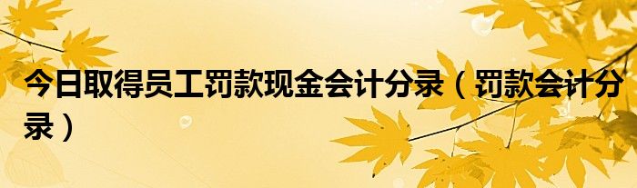 今日取得员工罚款现金会计分录（罚款会计分录）