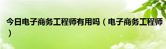 今日电子商务工程师有用吗（电子商务工程师）