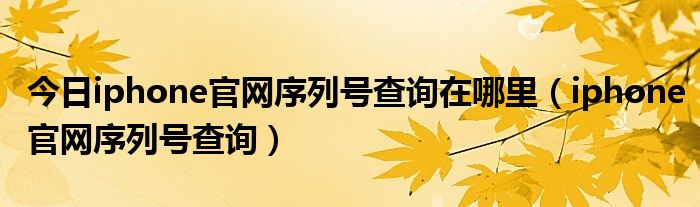 今日iphone官网序列号查询在哪里（iphone官网序列号查询）