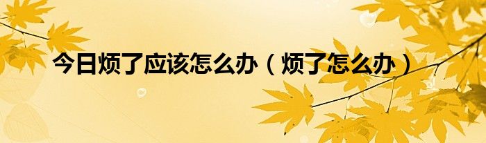 今日烦了应该怎么办（烦了怎么办）