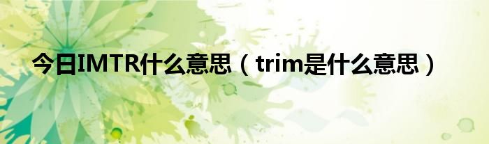 今日IMTR什么意思（trim是什么意思）