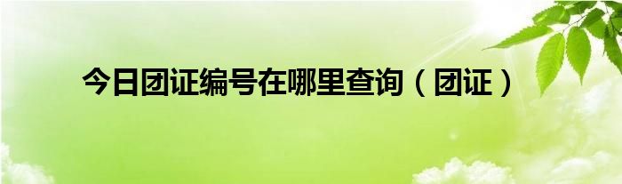 今日团证编号在哪里查询（团证）