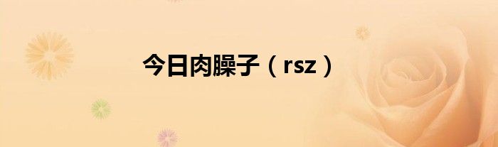 今日肉臊子（rsz）