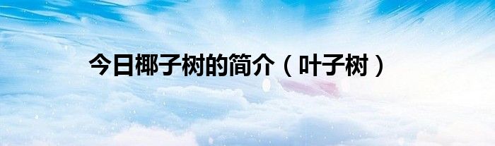 今日椰子树的简介（叶子树）