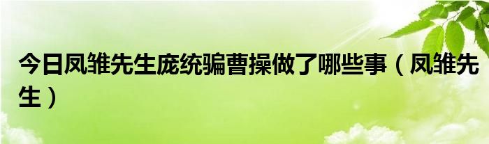 今日凤雏先生庞统骗曹操做了哪些事（凤雏先生）