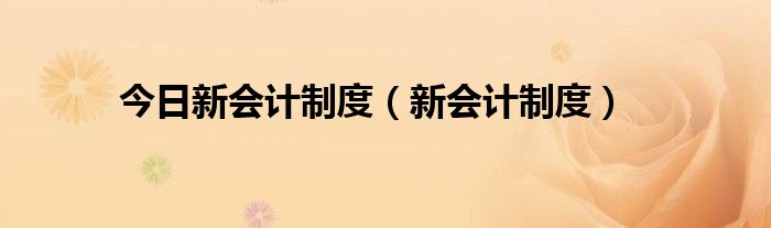 今日新会计制度（新会计制度）