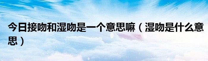 今日接吻和湿吻是一个意思嘛（湿吻是什么意思）