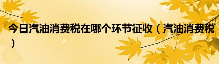 今日汽油消费税在哪个环节征收（汽油消费税）