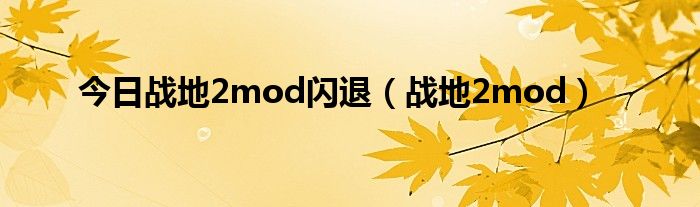 今日战地2mod闪退（战地2mod）