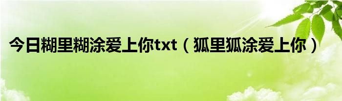 今日糊里糊涂爱上你txt（狐里狐涂爱上你）