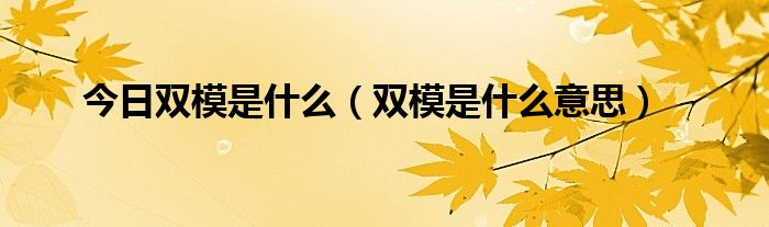 今日双模是什么（双模是什么意思）