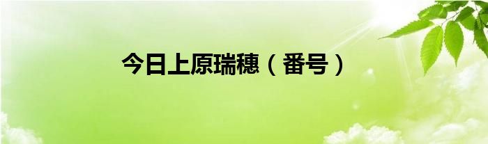 今日上原瑞穗（番号）